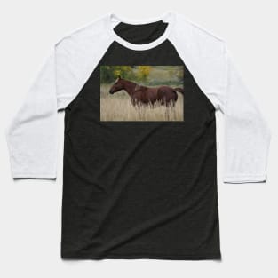 Brown Wild Horse Baseball T-Shirt